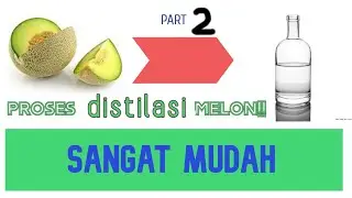 PROSES DISTILASI MELON hasil WANGI dan SANGAT MUDAH!!