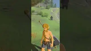 You DIDN&rsquo;T know this fact about the old man! Botw
