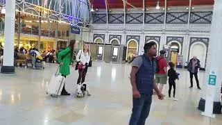 London Paddington Station - Elizabeth line & GWR - London, England, UK 🇬🇧
