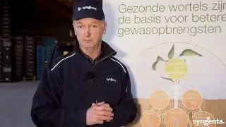 Wortelgezondheid, een blik onder de grond