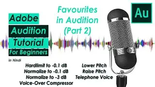 Favourites in Adobe Audition | Part 2 |  Hindi (हिन्दी)