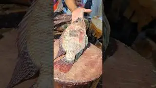 Amazing Big Tilapia Fish Cutting Skills Live In Fish Market72#shorts