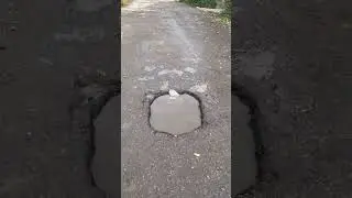 Спасите нашу улицу Бакунина