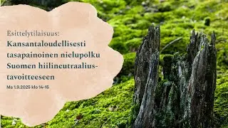 Kansantaloudellisesti tasapainoinen nielupolku Suomen hiilineutraaliustavoitteeseen