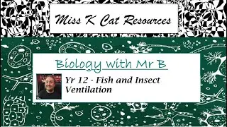 Fish and Insect Ventilation