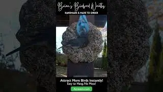 Found the COOLEST Bird Feeder on Amazon!