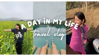 Jungle safari vlog 🐅😱