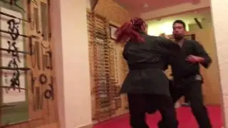 Chibi Dojo clase adultos 2017