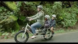 RadWagon 4 Electric Cargo Bike
