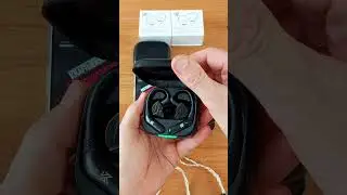 KZ AZ20 + KZ ZSN PRO X