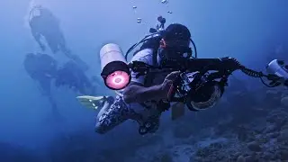 Kubbar island 20.9.2025 | Scubatech dive centre