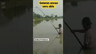 asiknya Cari ikan pakai Alat ini ❗❗ Tradisional Jaring ikan anco #short #fishing #fish #videos #fyp