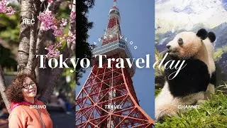 Ueno zoo Tokyo! Panda Time!! Tokyo Tower