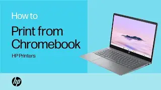 Print on an HP printer from a Chromebook | HP Support