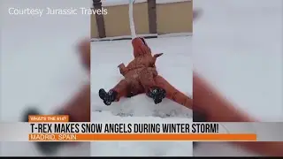 T-Rex makes snow angels during winter storm in Spain