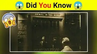 Did you Know Facts Amazing fact Psychological Facts factsworld | Getsetflyfacts #USA #shorts EP:35
