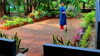വൃത്തിയാക്കൽ #പൂന്തോട്ടംപോലെ അടുക്കളത്തോട്ടം//PONSYKITCHEN//Cleaning