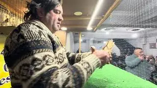 GÜVERCİN MEZATI BAYRAMPAŞA ARENA İYİ SEYİRLER KEYFİNİZ BOL OLSUN 