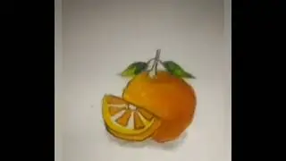 #الفرق بين الوان الخشب والمائيه