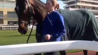 More of Douvan at Cheltenham..