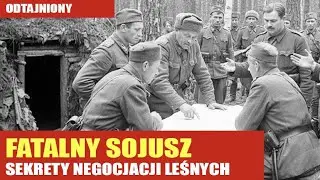 Tajna dyplomacja w lasach: jak partyzanci Organizacji Narod&oacute;w Zjednoczonych