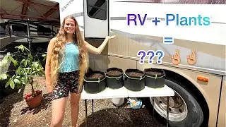 RV Life + Gardening Off Grid 🌱 My Big Rig Mobile Garden Setup