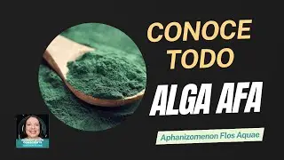 ALGA AFA: 