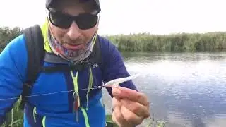 Balta Creata,pescuit la știuca