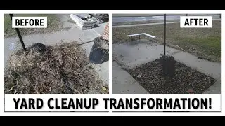 SAVED! Neglected Yard Gets an INSANE Transformation