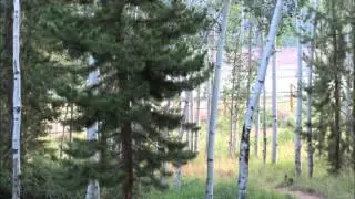 Moon Lake Resort, Utah