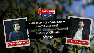 Saffron and Olive Cultivation Can Thrive in Swat, Future of Climate Change
