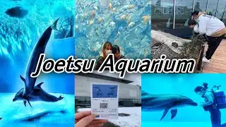 JOETSU AQUARIUM NIIGATA CITY (TraveL vlog Let&rsquo;s goww!!!