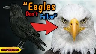 &ldquo;Eagles Fly Alone &mdash; Crows Follow the Crowd&rdquo; | MOTIVY MINDSPARK