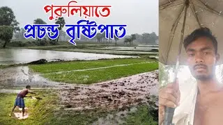 পুরুলিয়াতে প্রচন্ড বৃষ্টিপাত