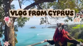VLOG FROM CYPRUS :3 🏖️🤩🌺#otherpaw#vlog#summer#therian#alterhuman #theriantropy #otherkin #cat#mask