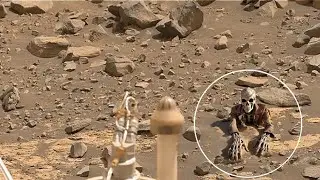 Perseverance Rover Send Latest Mars Images - Sol 1190 | Perseverance's Biggest Discoveries So Far