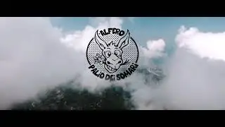 Palio dei Somari - ALFERO (FC)