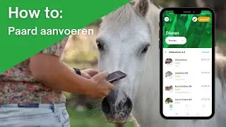 De Anymal App | How to: Paard aanvoeren met RVO-koppeling