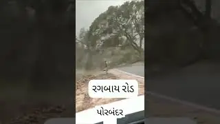 Biggest tree Falling in Hurricane Be alart  #Monsoon #trending #treefalling #hurricane #shorts#reels