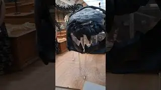 Museo Nazionale di Storia Naturale di Parigi, pt. 5. #paleontology #paleontologia #dinosaur