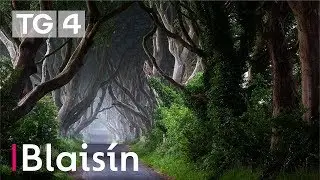 Crainn na h&Eacute;ireann | D&eacute;ardaoin 21.30 | 12/7 | TG4