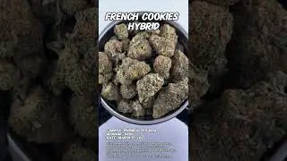 French Cookies | Gasu Sponsored | Strain Spotlight