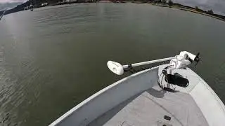 Chinook Salmon on Coos River 9-13-2025