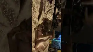 Sister & Brother Fighting Jiu Jitsu Kitty&hellip;