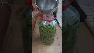 Schneidebohnen Einlegen Turșu Rezept