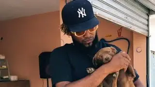 EL.PERRO M&Aacute;S FAMOSO DE LAS REDES SOCIALES 🤣 #perro #famoso #redes #sociales