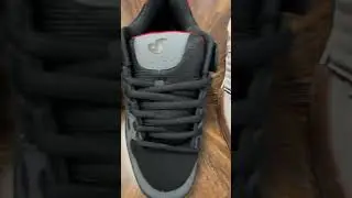 Check out this collection of DVS Celsius!