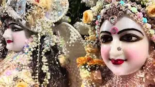 Mesmerizing Darshan Of Radha Vrindavan Chandra ✨