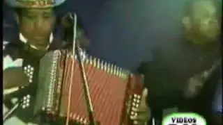 La dicha del Gallo