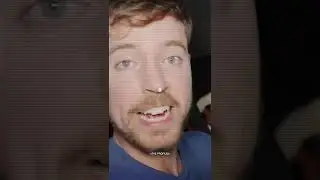 MR. BEAST Crypto Portfolio